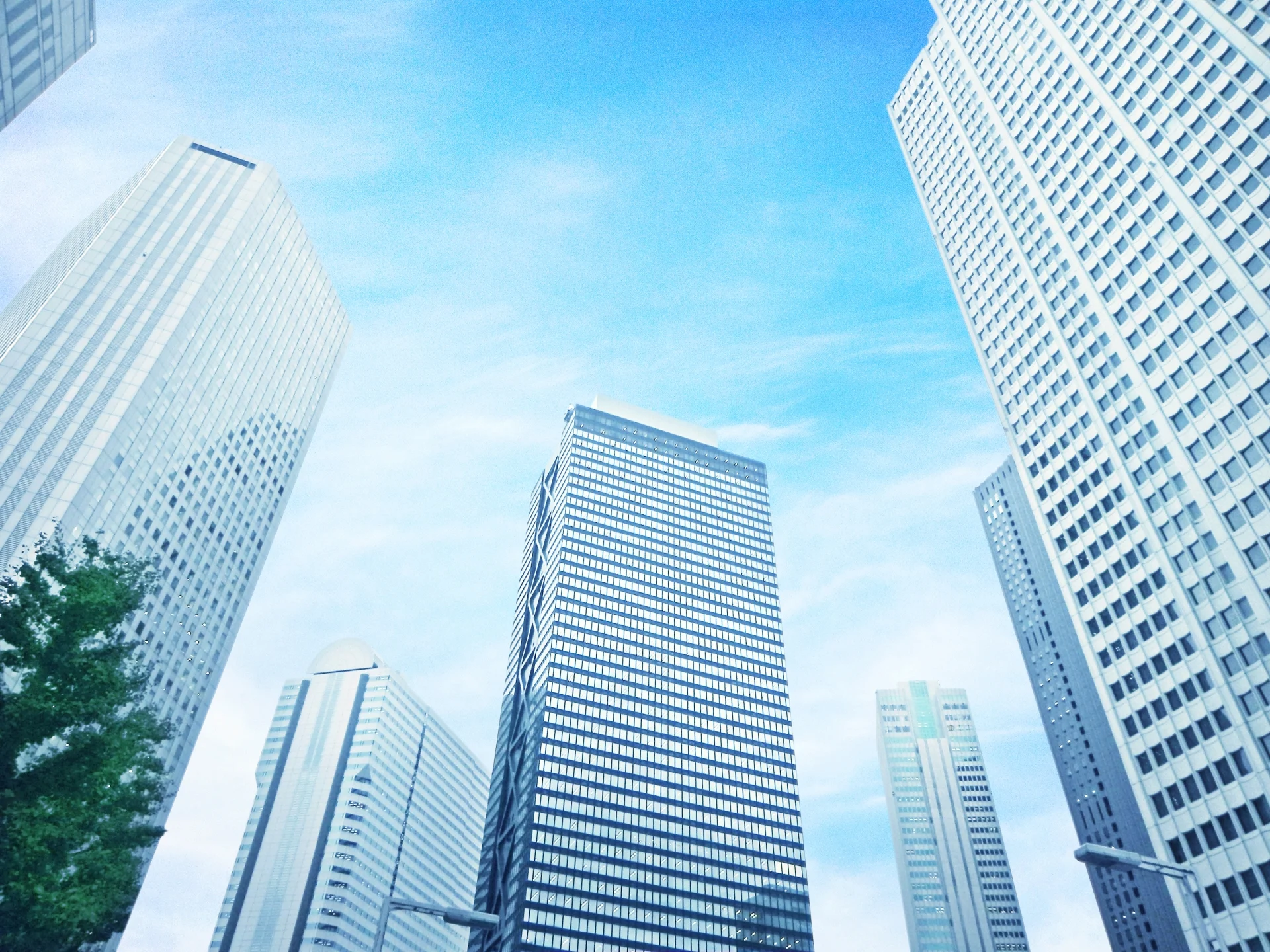 Reasons1(高)
